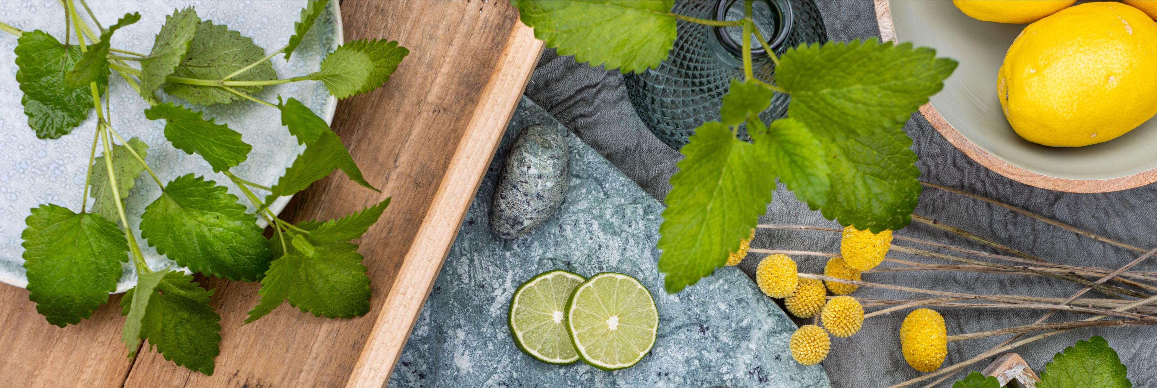 Das Bild zeigt eine frische, sommerliche Komposition mit Zitronen, Limettenscheiben und grünen Blättern auf Holz und Stein – ein natürlicher Mix, der Lebendigkeit und Leichtigkeit vermittelt.