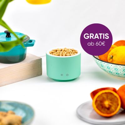 AromaStream Wood Mini gratis ab 60€