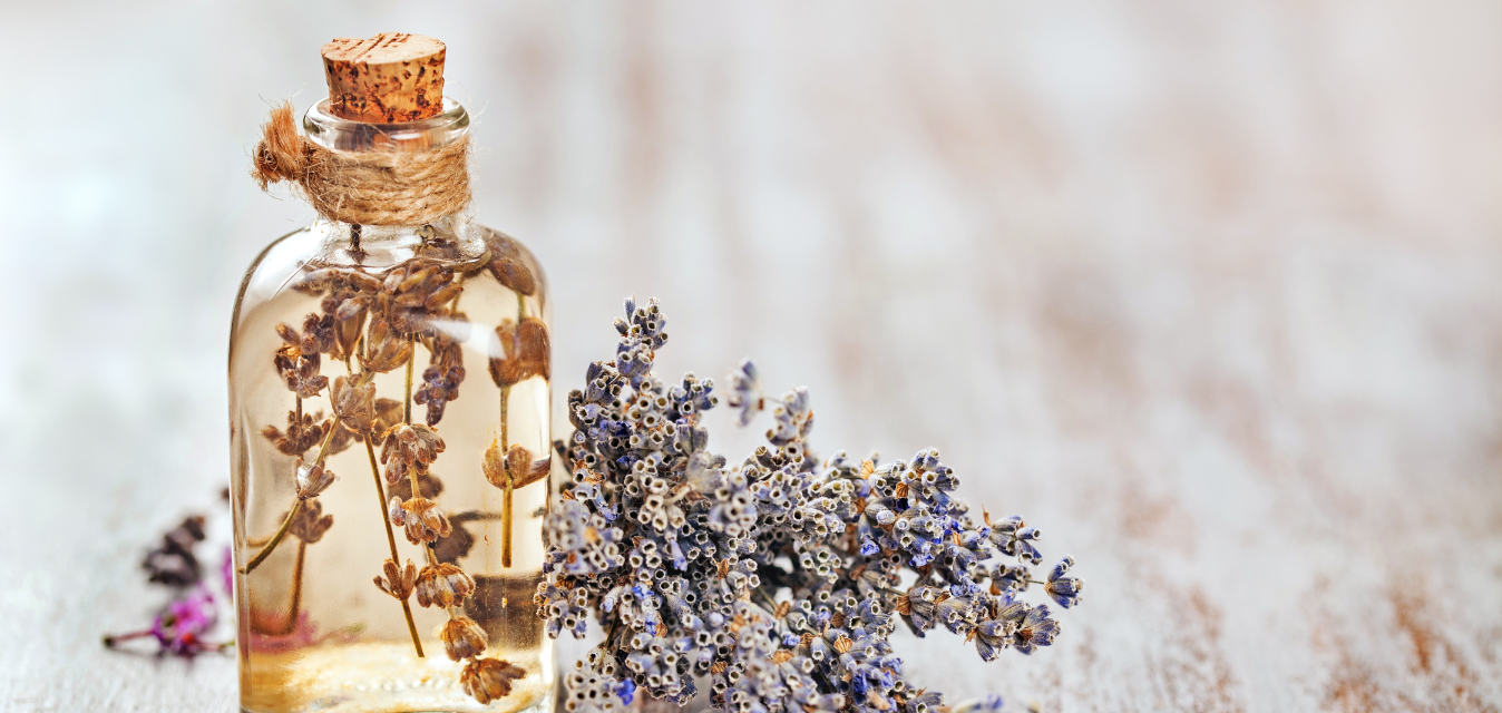 Gefäß mit Flüssigkeit und getrockneten Pflanzen