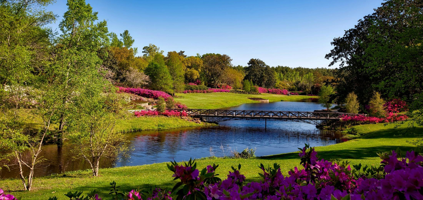Parklandschaft mit See, Brücke und blühenden Sträuchern.