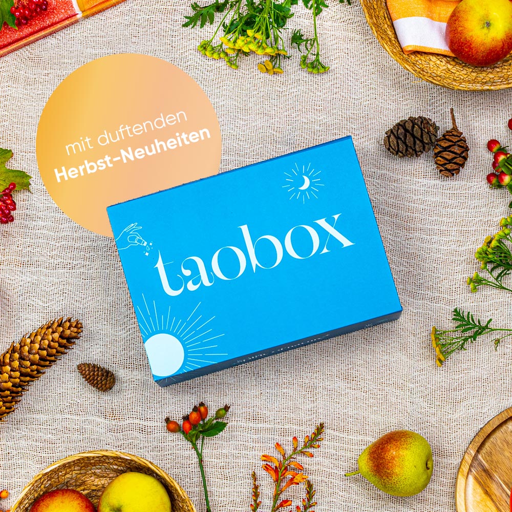 TaoBox Herbstneulinge