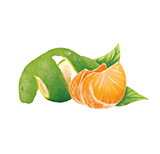 Mandarine grün