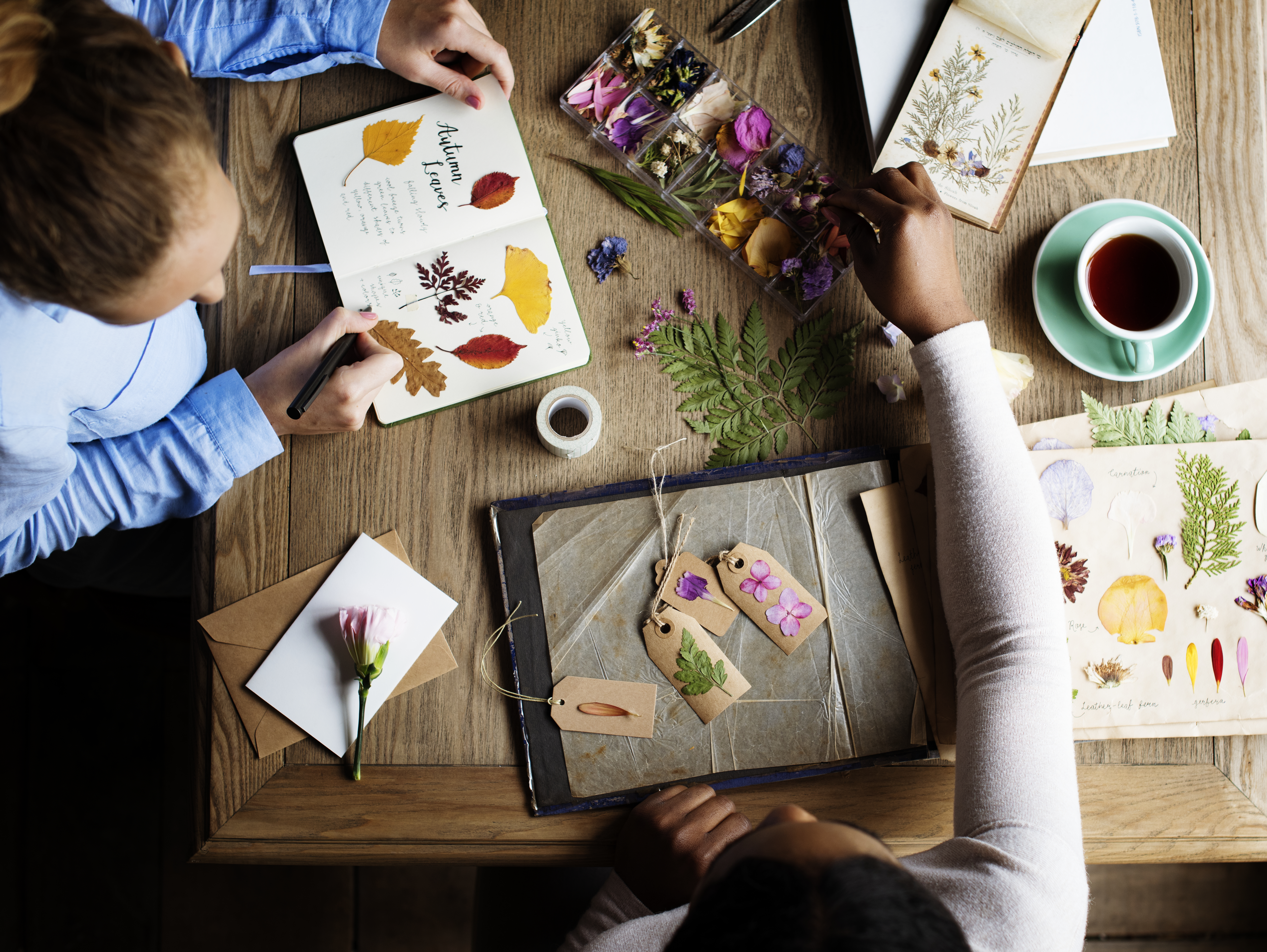 Zwei Personen gestalten ein Herbarium mit gepressten Blättern und Blüten an einem Holztisch, umgeben von Notizbüchern, Pflanzenproben und einer Tasse Tee.