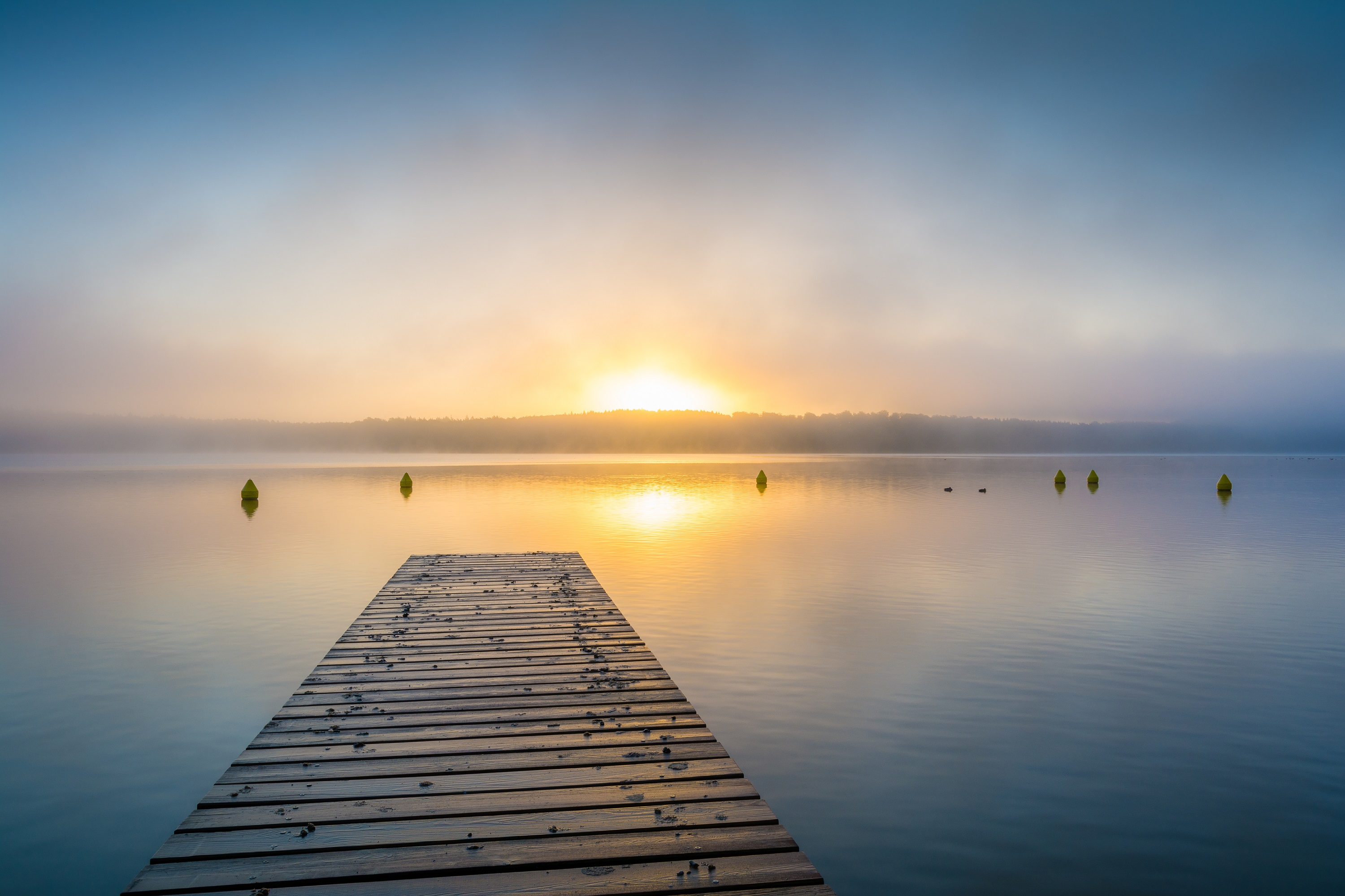 Holzsteg führt über einen ruhigen See in den Sonnenaufgang, umgeben von sanftem Nebel und goldenem Licht.