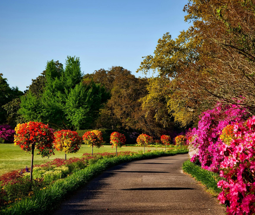 Weg durch einen gepflegten Park mit bunten Blütensträuchern und grünen Bäumen im Sonnenschein.