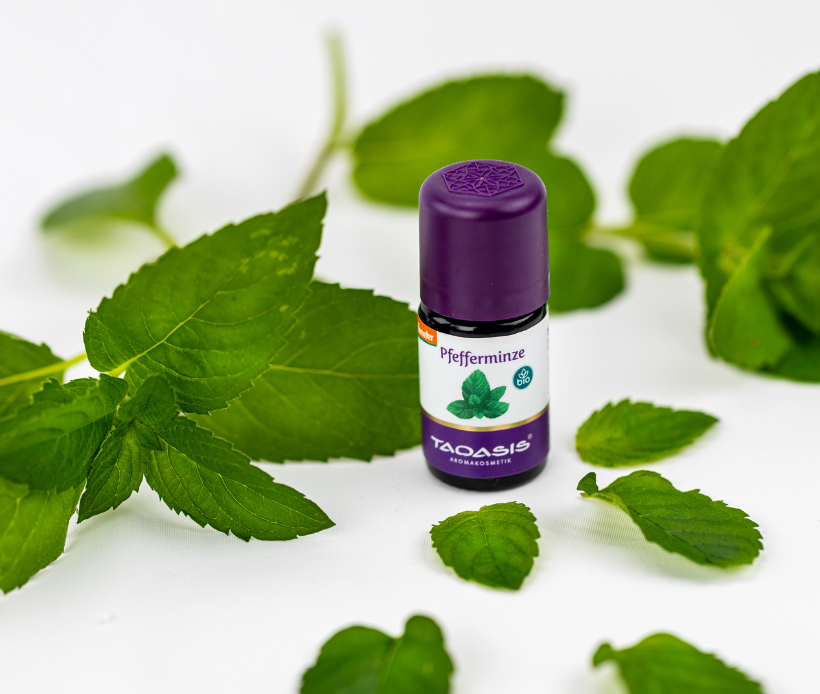 Ätherisches Pfefferminzöl von TAOASIS umgeben von frischen Minzblättern.