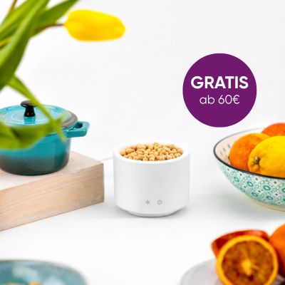 AromaStream Wood Mini gratis ab 60€