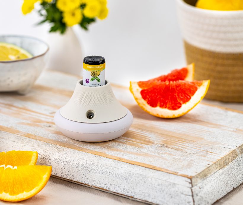 Baldini AirFriend One mit Baldini Zitrusgarten 