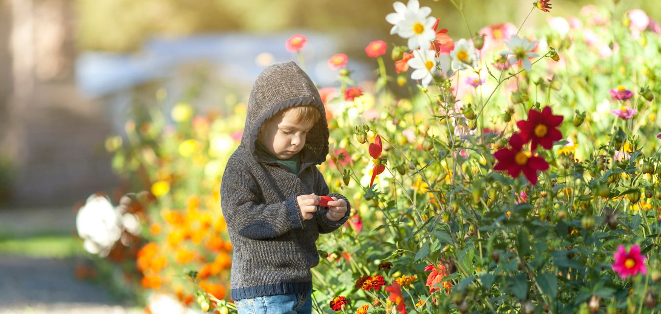 Junge, der vor einer Blumenhecke steht und ei e Kapuze auf dem Kopf hat.