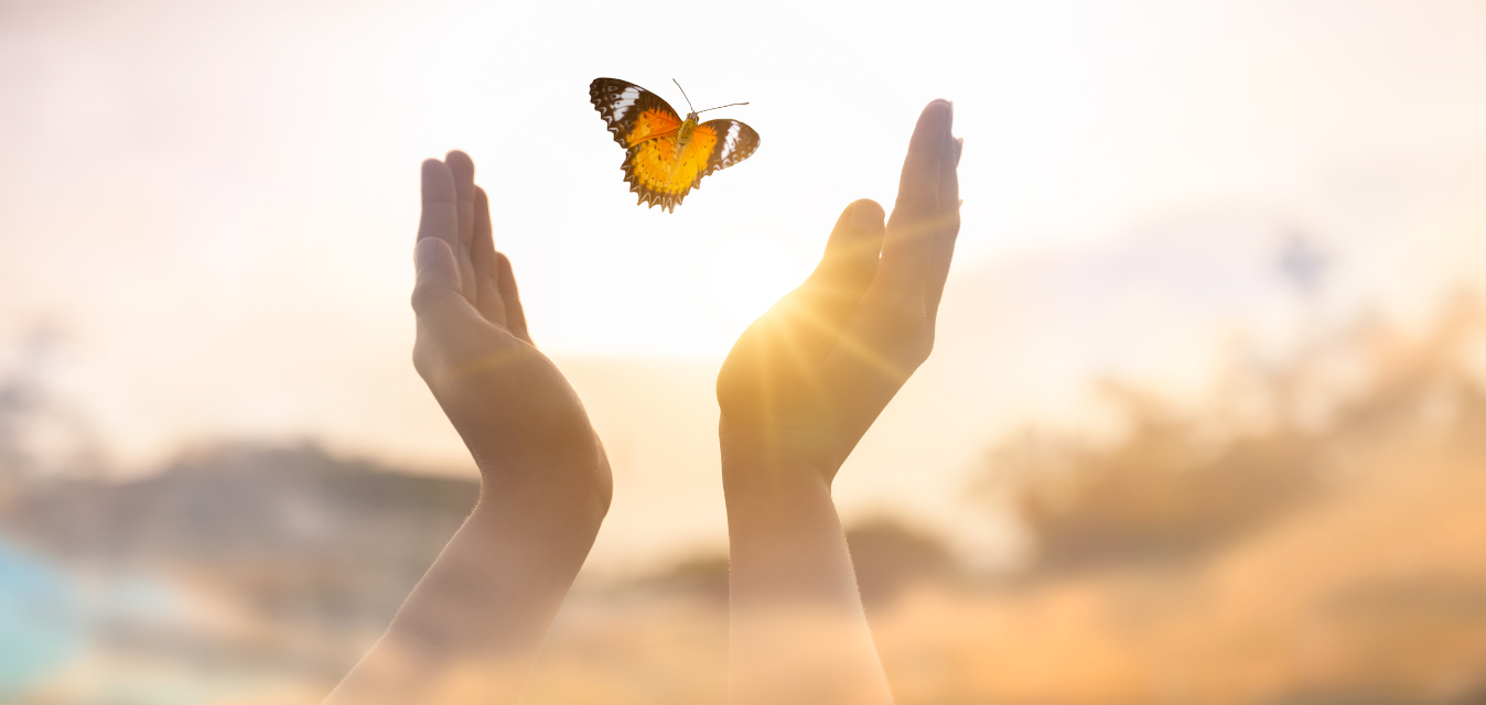 Hände und Schmetterling