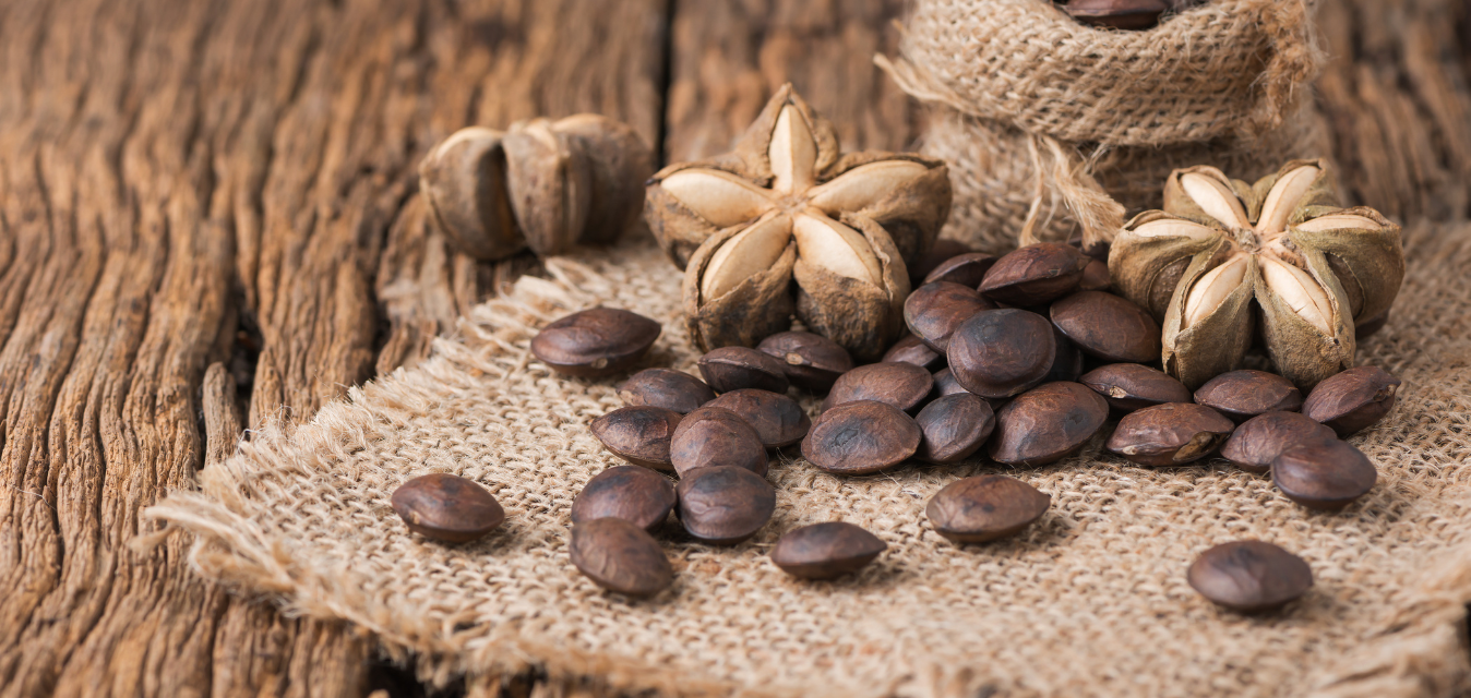 Samen und Früchte des Sacha-Inchi auf einem rustikalen Holztisch.