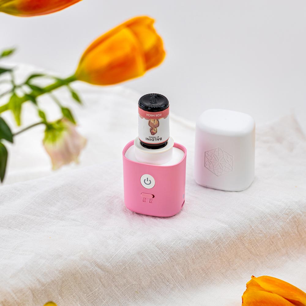AirFriend To Go - altrosa