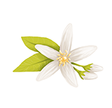 Neroli