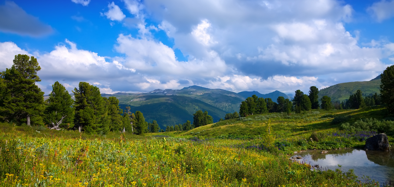 Bild mit einem Blick in die Natur, von einem Berg.