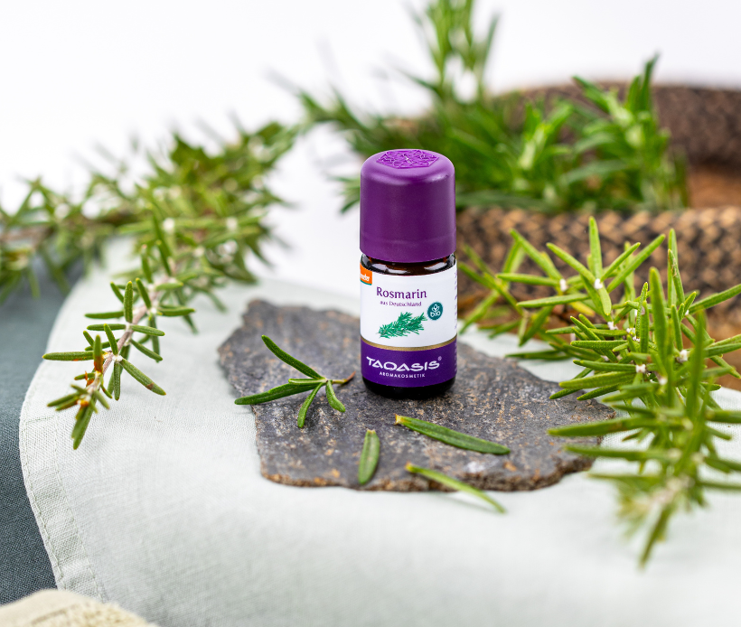 TAOASIS ätherisches Rosmarinöl in Glasfläschchen, umgeben von frischen Rosmarinzweigen.