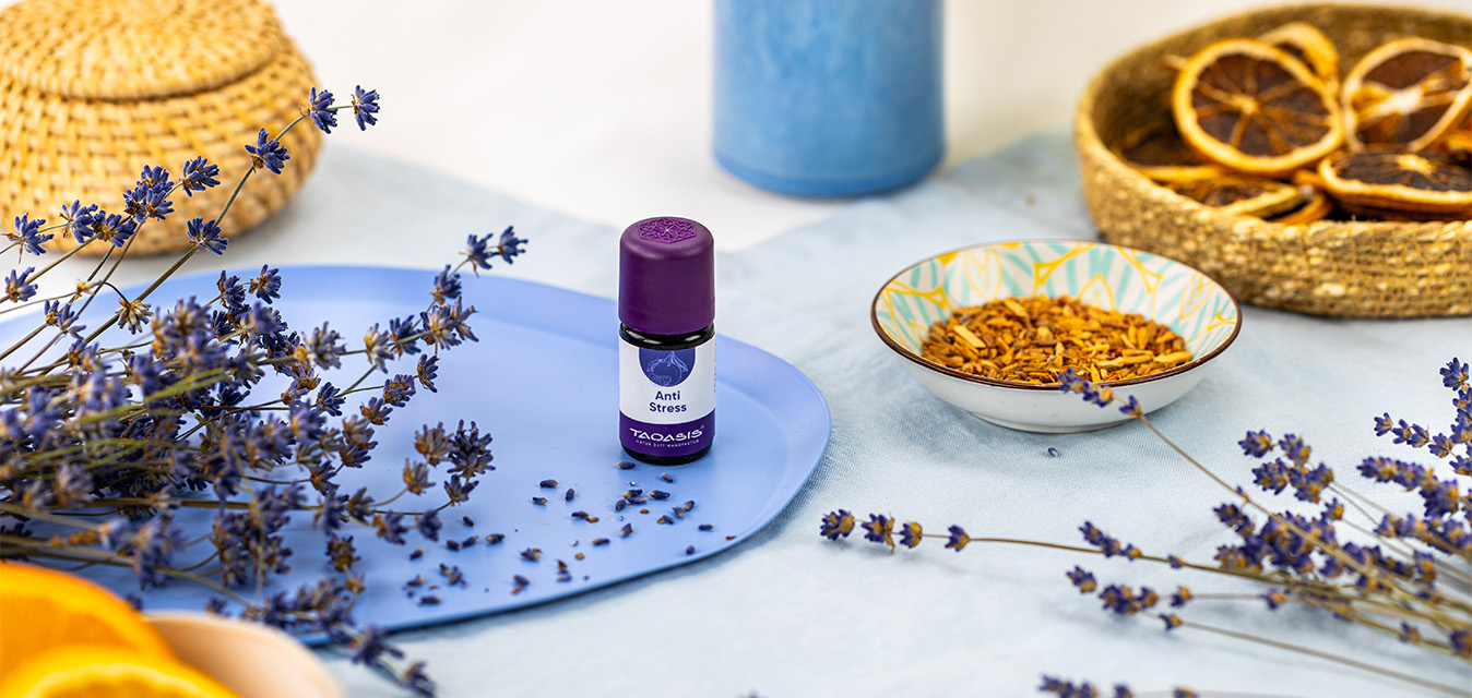 Anti-Stress-Duftkomposition mit violettem Deckel auf einem blauen Tablett, umgeben von Lavendel, getrockneten Orangenscheiben und Kräutern.