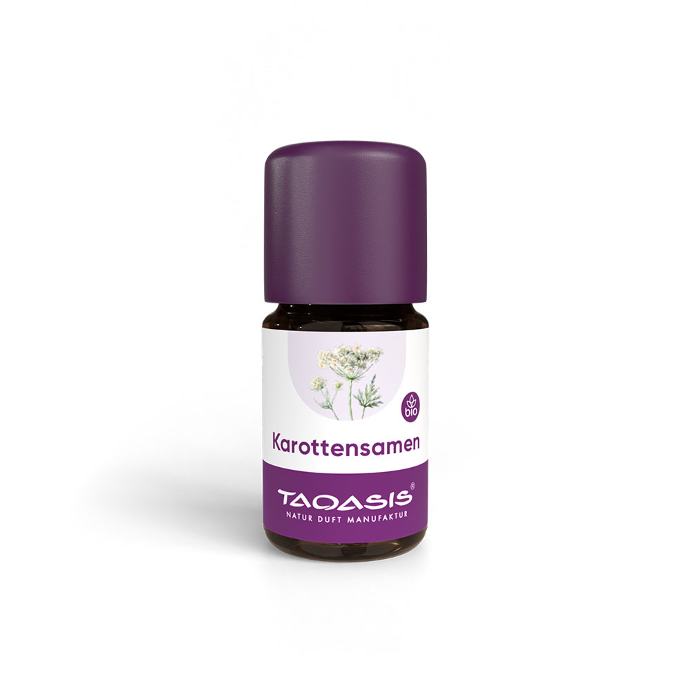 Karottensamenöl BIO