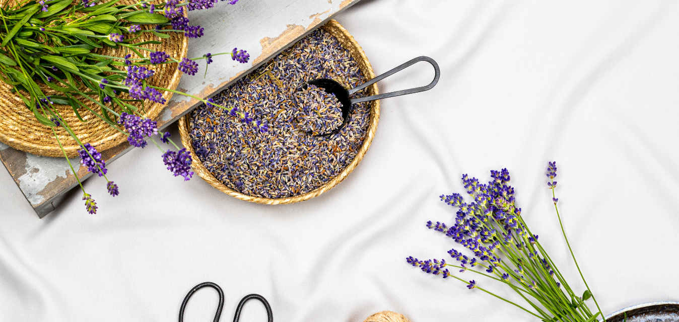 Getrocknete Lavendelblüten in einer Schale mit Schaufel, umgeben von frischen Lavendelzweigen auf hellem Stoff.