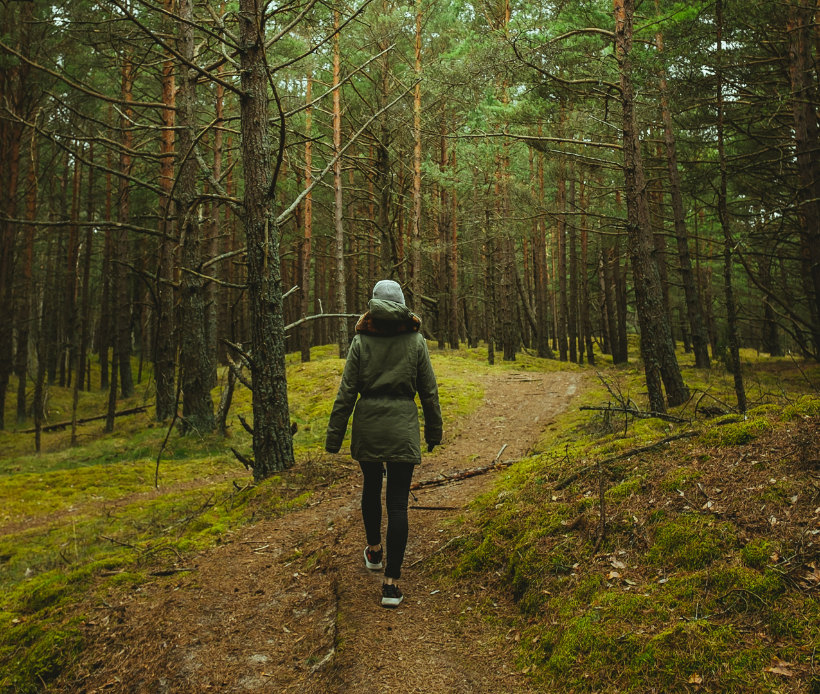 Person von hinten, die eine Mütze und Jacke trägt und den Waldweg entlanggeht.