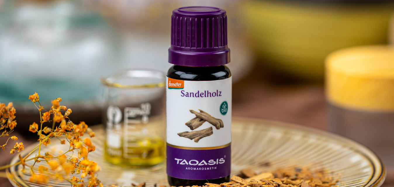 TAOASIS ätherisches Sandelholzöl in Glasfläschchen, arrangiert mit Sandelholzspänen und Öl.