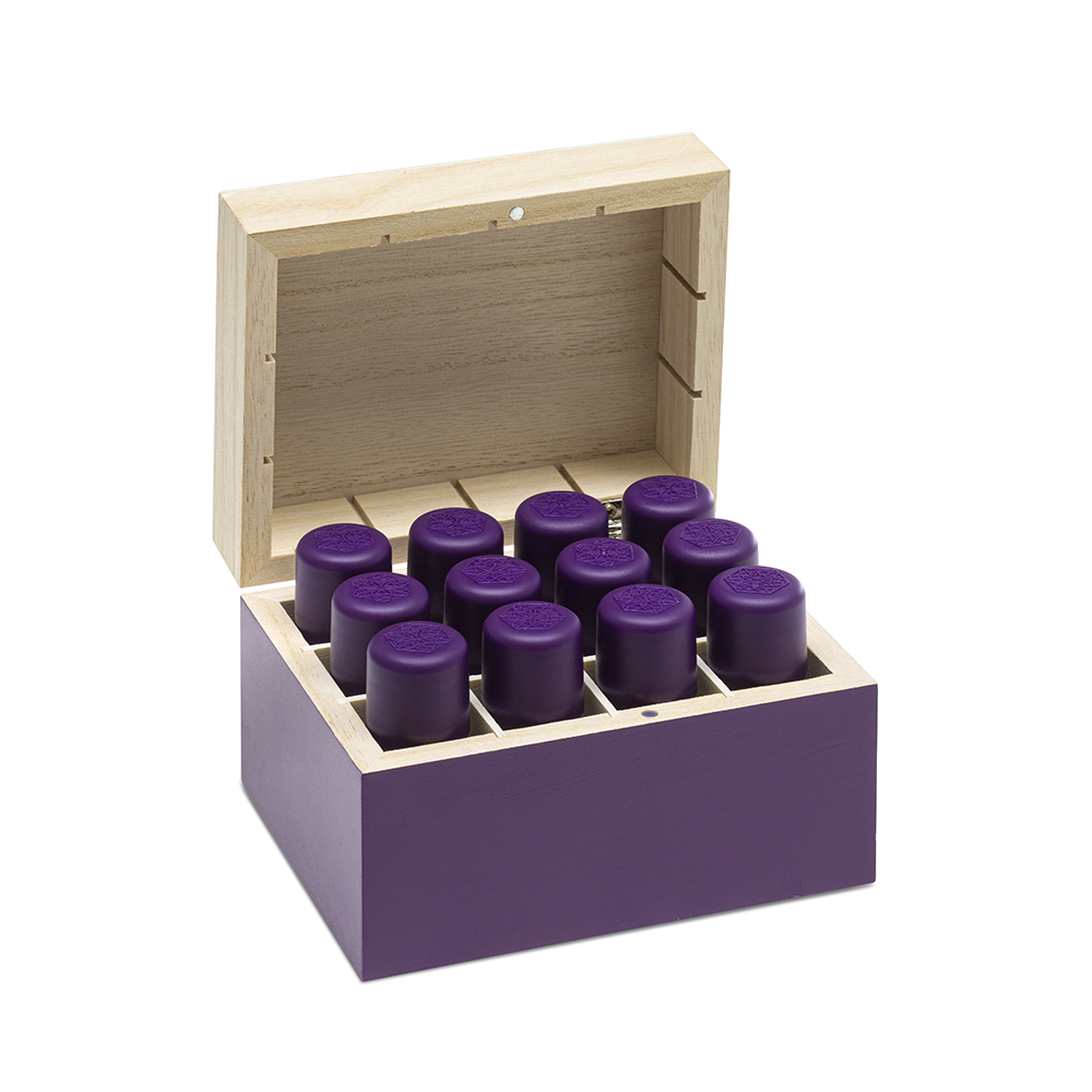 Kennenlern-Set Top 12 Bio-Essenzen