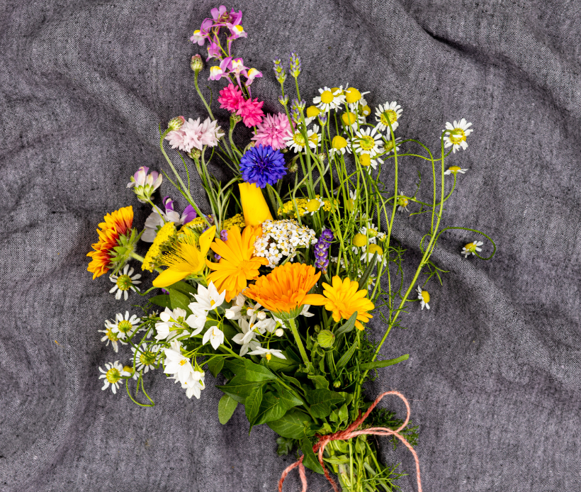 Blühendes Sonnenblumenfeld mit vielen gelben Sonnenblumen unter freiem Himmel.