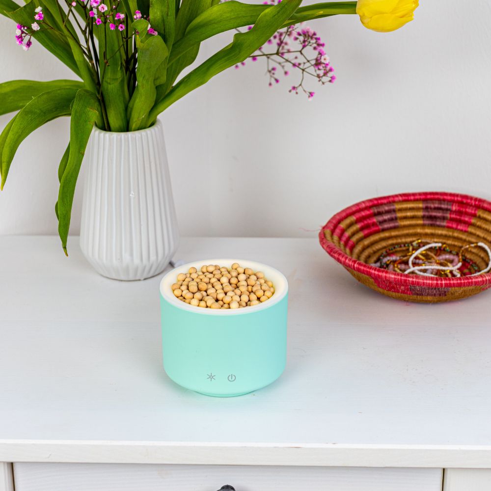 Baldini AromaStream Wood Mini - mint